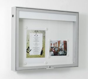 Günstiger witterungsbeständiger Außenschaukasten zur Wandmontage robuster und günstiger Schaukasten für den Außenbereich
